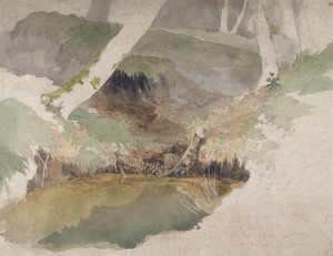 Forest Pool (wc over graphite on paper)