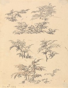 Bracken Çalışması by Robert Hills