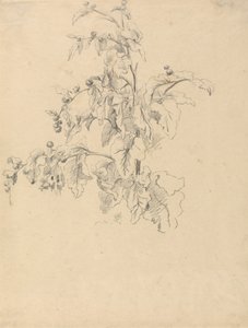 Yeşillik Çalışması by Robert Hills
