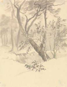 Odun by Robert Hills