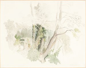 Beddington