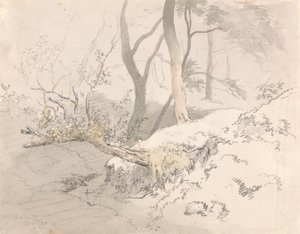 Ormanlık Gölge by Robert Hills