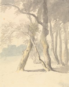 Orman Çalışması by Robert Hills