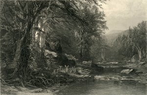 "Adirondack Ormanı", 1874.