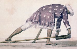 Mysore Roket Adam, 1793-94