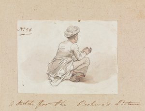 bir brahmin by Robert Mabon