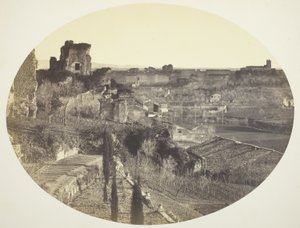 Palatine