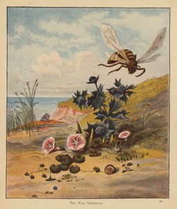 The Kitten Pilgrims: Wasp Discontent (renkli taş) by Robert Michael Ballantyne