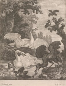 su kuşları by Robert Robinson