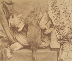 Natürmort ve Nakış, 1856. by Robert Wilfred Skeffington Lutwidge