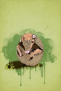 Bebek Armadillo, 2022 (dijital)