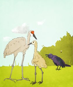 Gus Gus ve Corvid, 2020 (dijital) by Roberta Murray