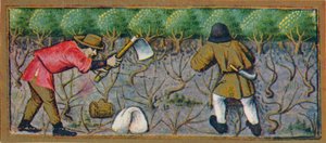 Mart - bağda çalışmak, 15. yüzyıl, 1939.
