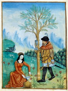Balsam Recolation. Bir erkek, bir ağaçtan (Flora: balsamier) akan reçineyi ya da seve