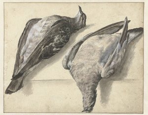 iki ölü güvercin by Rochus van Veen