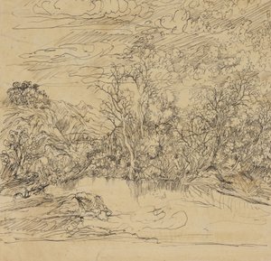 Bir Gölet Bankası by Rodolphe Bresdin