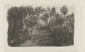 Le cours d'eau kıyısında bir dere ve ağaçlarla manzara by Rodolphe Bresdin