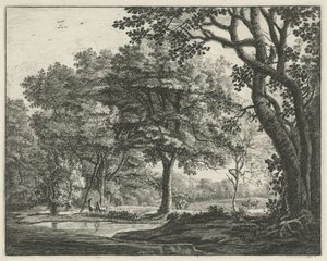 Haagse Bos