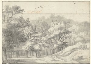 Haagse Bos