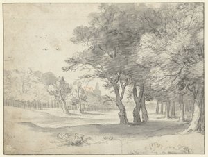 Uzakta Grote Kerk, Lahey ile Haagse Bos
