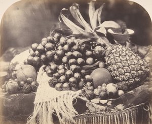 Meyveli Natürmort, 1860. by Roger Fenton