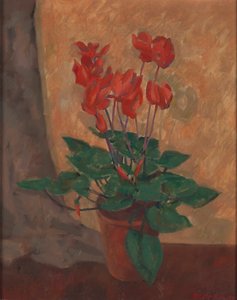 siklamen by Roger Fry