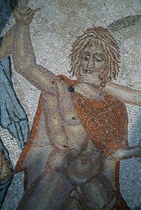 Hylas