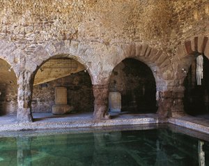 Frigidarium, Caldes de Montbui, Barselona, İspanya, MÖ 2.-1. yüzyıl (fotoğraf) by Roman