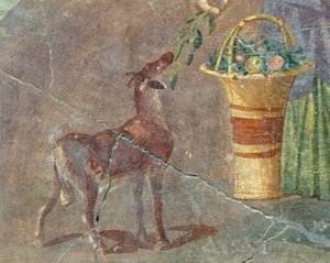 Keçi ve meyve sepeti, Pompeii, Campania, İtalya, Roma uygarlığından fresk by Roman
