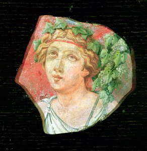 ಬಚ್ಚಾಂಟೆ ಟರ್ಕಿಯ ಮುಖ್ಯಸ್ಥ by Roman