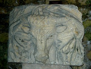 Bir boğa başkanı by Roman