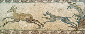 Av sahnesi, Dionysos Evi, Baf, Kıbrıs (mozaik) by Roman