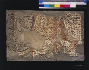 Menander Evi