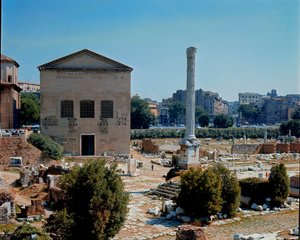 Roma Forumu: Senato