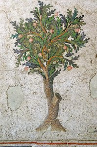 Bilinmeyen resim by Roman