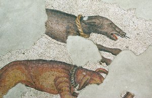 Bilinmeyen resim by Roman