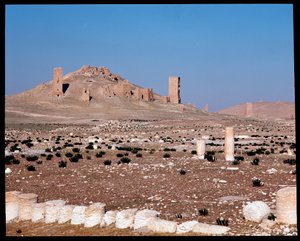 Iamblichus ve Elahbel kule mezarlarının görünümü (Fotoğraf) by Roman
