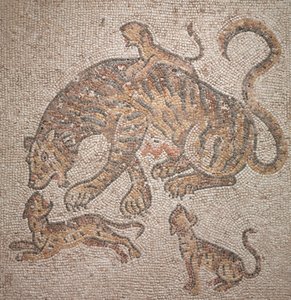 Kaplan ve Yavrular, 300