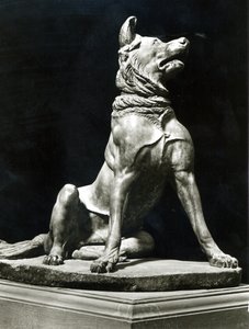 Bullmastiff Köpek (mermer) by Roman Roman