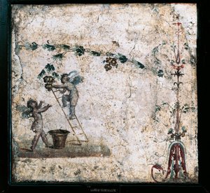 Pompeii'deki Marcus Lucretius Evi'nden Aşk Tanrısının hasatını tasvir eden üçüncü stil fresk by Roman Roman