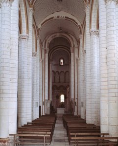 nefin görünümü by Romanesque