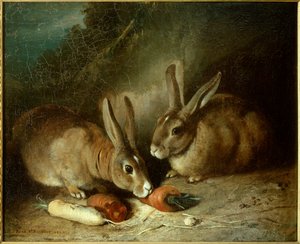 Tavşanlar. Rosa Bonheur