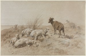 Koyun by Rosa Bonheur