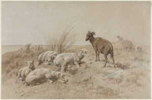 Koyun by Rosa Bonheur