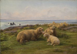 deniz kenarında koyun by Rosa Bonheur