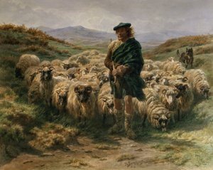 Highland Çoban, suluboya