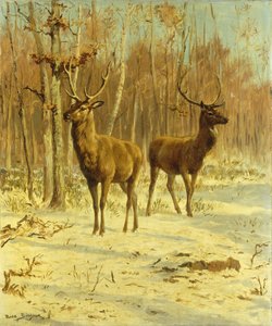 Kışın Bir Açıklıkta İki Geyik by Rosa Bonheur