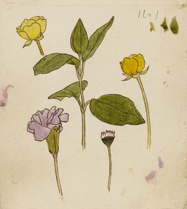  by Rosa Brett