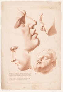 Erkek, kadın ve çocuk kafaları Doğadan çizim ilkeleri, ikinci bölüm (dizi başlığı) IIe Cahier de Principes du Dessin d'après Nature (dizi başlığı) by Louis François Roubillac