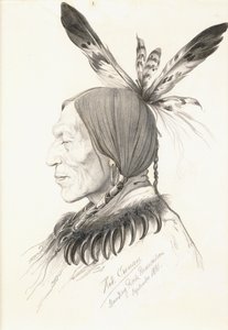 Heu-Topa, Dört Boynuz veya Jagoo, Hikâye Anlatıcısı, Hunkpapa Sioux